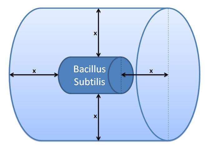 Control volume (Volume of B.sub to be excluded. x indicates the distance travelled by AIPs from the surface in time t).